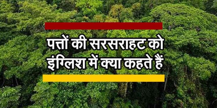 पत्तों की सरसराहट को इंग्लिश में क्या कहते हैं, पढ़िए मजेदार जानकारी