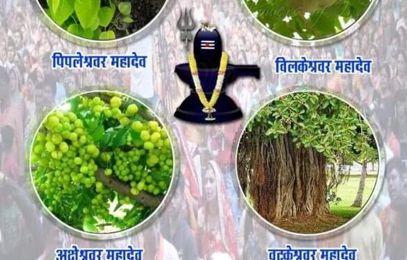 रतलाम में चल रही वैशाख शिवरात्रि महाशिवपुराण कथा का आज समापन हुआ |
