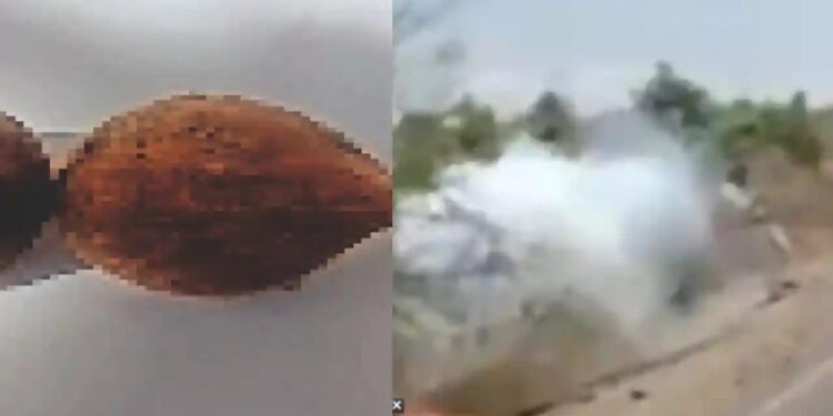 एमपी के बड़वानी जिले में एक अजीबोगरीब फल मिला है।