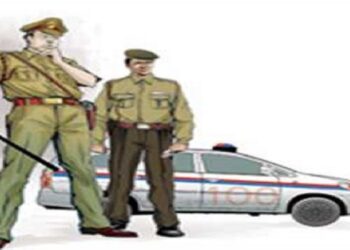 पिता को पीटने के बाद भागा बेटा, तो भाई ने पकड़ा, और कनपट्टी पर दे मारा पाइप, उपचार के दौरान मौत, मामला- मंदसौर जिले का, पढ़े खबर