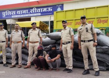 सीतामऊ पुलिस द्वारा अवैध मादक पदार्थ डोडाचुरा माफीया पर की गई कार्यवाही !