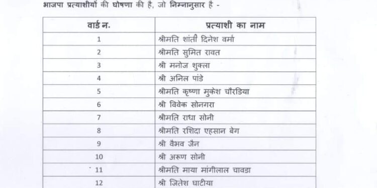 सीतामऊ नगर परिषद के लिए बीजेपी ने अपनी प्रत्याशियों की लिस्ट करी जारी |