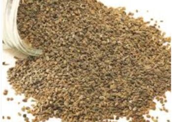 अजवाईन का व्यापार… और…कैमिकल…?