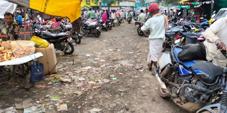 रायपुरिया मे मवेशियों को बाजार मे ले जाने मे होती हे परेशानी।
