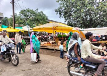 रायपुरिया मे मवेशियों को बाजार मे ले जाने मे होती हे परेशानी।