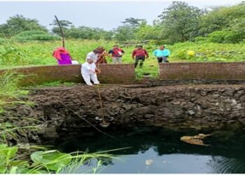 ’’ जलस्त्रोतों में लार्वाभक्षी गॅम्बुसियां मछली का संचयन किया गया ’’