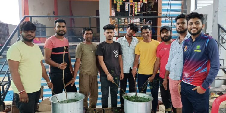 गो माता के लिए आयुर्वेदिक दवाई बनाई जा रही हैं। जिससे की लम्फि का इलाज किया जायेगा।