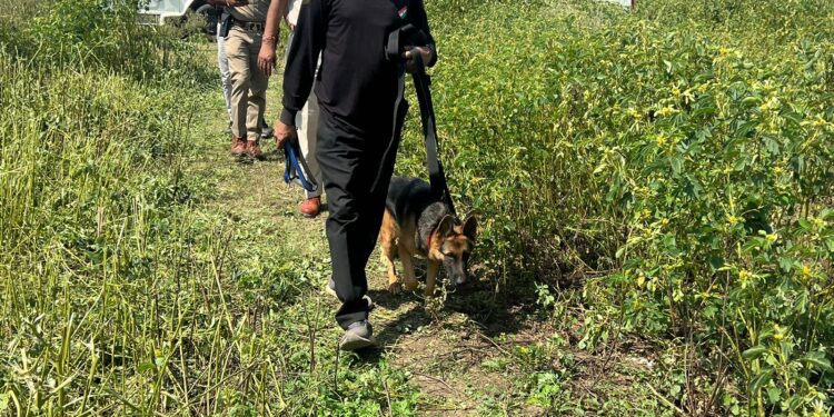 तोलाखेड़ी शामगढ़ घटना में पांचवा शव रेस्क्यू दल को मिला
