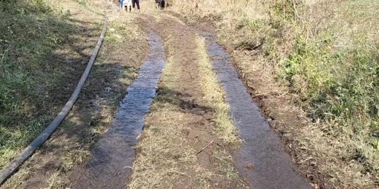 कुंभाखेड़ी के तंबोलिया तालाब की नहर हुई छतिग्रस्त