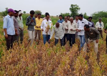 विधानसभा क्षेत्र भृमण के दौरान सेगांव ब्लॉक के ग्राम रसगांव, मालपुरा,खोलगाव,में बारिश की लम्बी खेंच और तेज धूप के चलते नष्ट हुई फसलों का ओचक निरीक्षण किया किया |