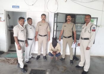 मंदसौर पुलिस के थाना दलौदा द्वारा सम्पति संबंधित अपराध मे सफलता मिली |