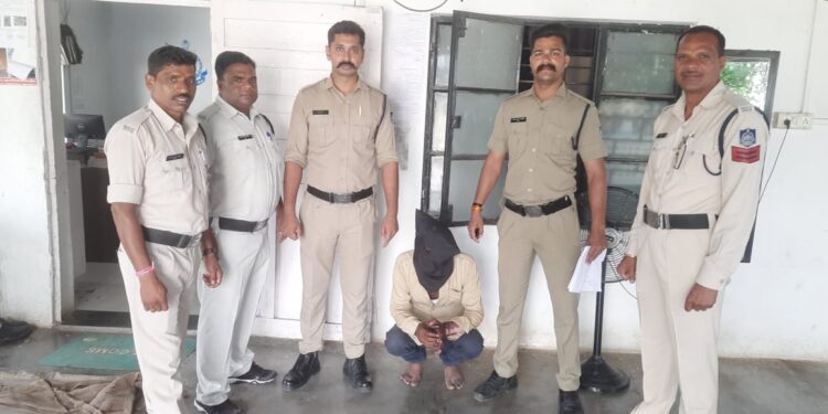 मंदसौर पुलिस के थाना दलौदा द्वारा सम्पति संबंधित अपराध मे सफलता मिली |